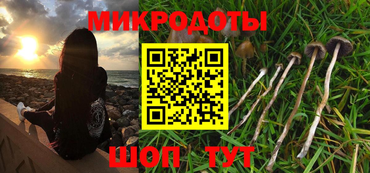 Псилоцибиновые грибы Cubensis Мценск