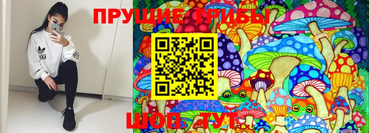 Галлюциногенные грибы ЛСД  Галлюциногенные грибы Magic Shrooms  Мценск  Вход с VPN 